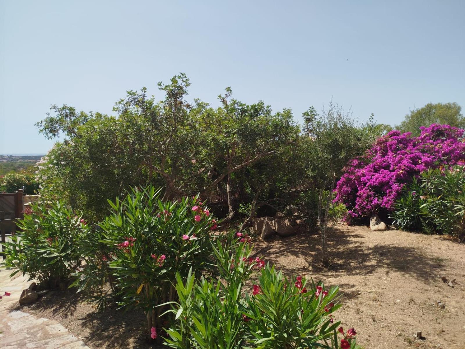 Punta Molara Villa Vista Mare Cala Ginepro מראה חיצוני תמונה